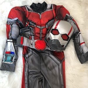 Ant man costume